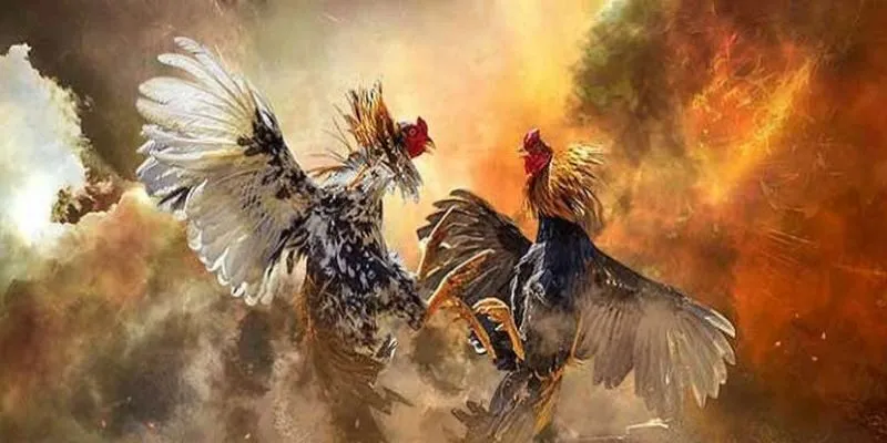 Tận hưởng các giây phút kịch tính từ đá kê cựa dao